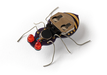 Load image into Gallery viewer, Educator Pack: Jitterbug